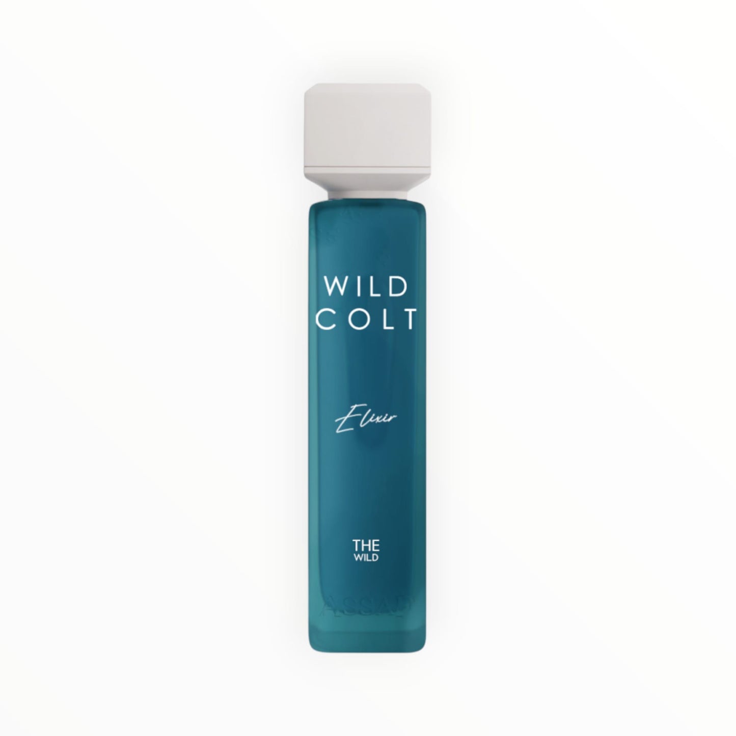 Assaf Wild Colt